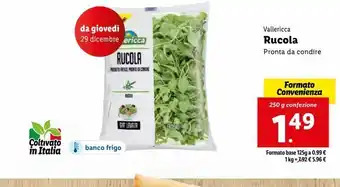 Lidl Rucola offerta