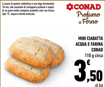 Conad Conad Mini Ciabatta Acqua E Farina 110 G offerta
