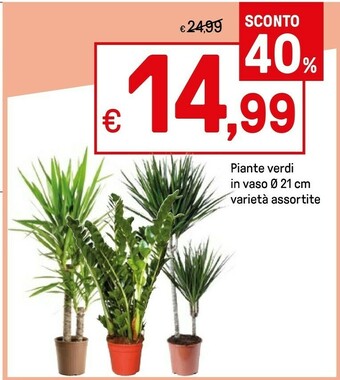 Iper La Grande Contenitori per alimenti offerta