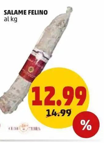 PENNY Salame felino al kg offerta