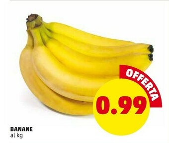 PENNY Banane offerta