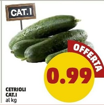 PENNY Cetrioli offerta
