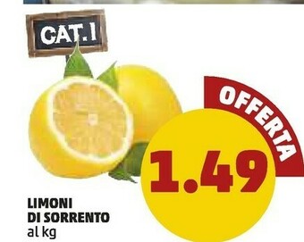 PENNY Limoni Di Sorrento offerta