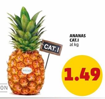 Ananas cat i
