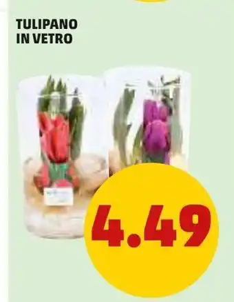 PENNY Tulipano in vetro offerta