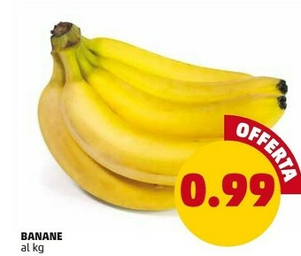 PENNY Banane offerta