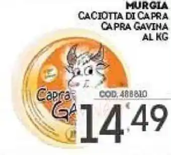 Murgia Caciotta di Capra Capra Gavina
