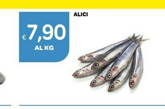 Alici