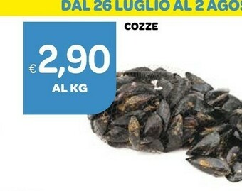 Ekom Cozze offerta