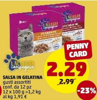 PENNY Salsa In Gelatina offerta
