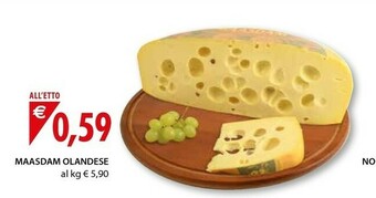 Maasdam Olandese