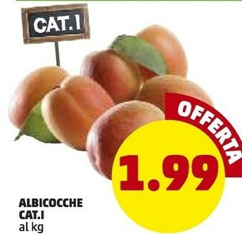 PENNY Albicocche offerta