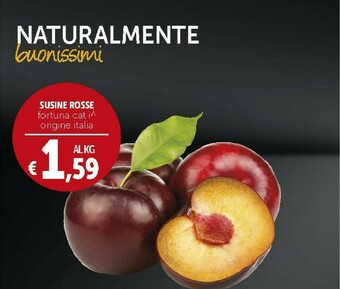 Susine Rosse