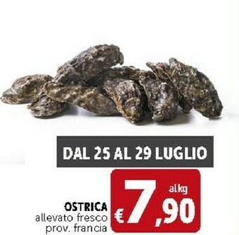 Deco Supermercati Ostrica Allevato Fresco offerta
