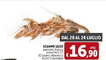 Deco Supermercati Scampo 16/20 Pescato Fresco offerta