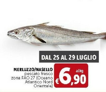 Deco Supermercati Merluzzo/ Nasello Pescato Fresco offerta