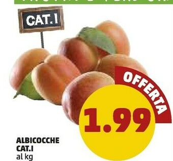PENNY Albicocche offerta