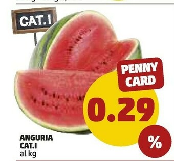 PENNY Anguria offerta