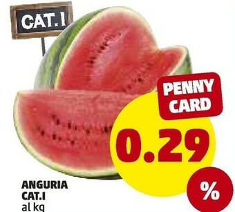 PENNY Anguria offerta
