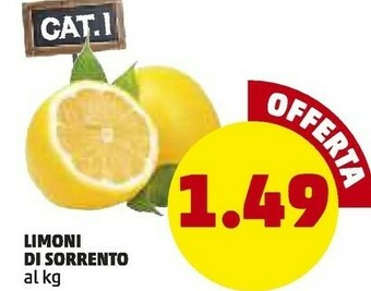 PENNY Limoni Di Sorrento offerta