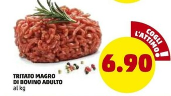 PENNY Tritato Magro Di Bovino Adulto offerta