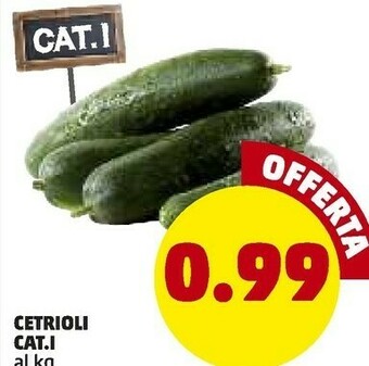 PENNY Cetrioli offerta
