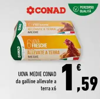 Conad Conad Uova Medie da galline allevate a terra x6 offerta