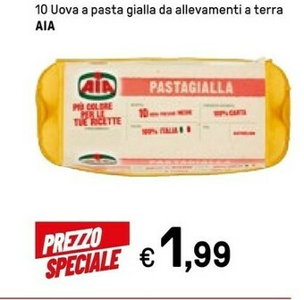 Aia 10 Uova A Pasta Gialla Da Allevamenti A Terra