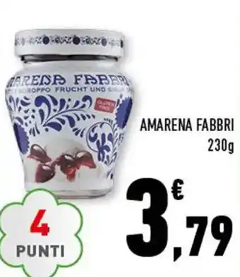 Conad Amarena Fabbri 230g offerta