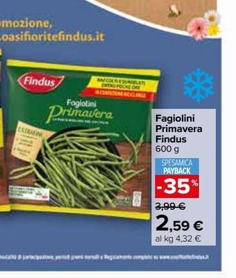 Carrefour Market Fagiolini primavera findus offerta