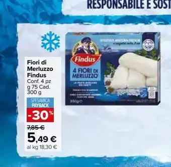 Carrefour Market Fior di merluzzo findus offerta