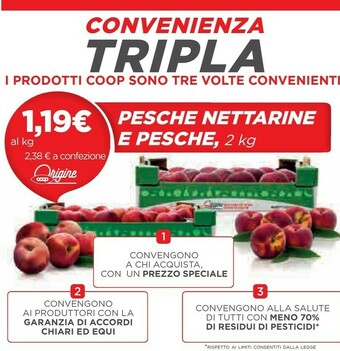 Coop Ipercoop Pesche Nettarine offerta