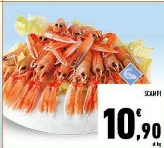 Conad Scampi offerta
