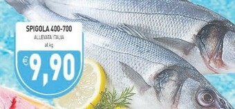 Gros Pesce offerta