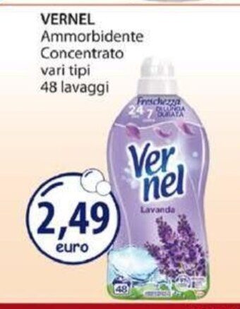 Acqua & Sapone Vernel Ammorbidente Concentrato vari tipi 48 lavaggi offerta