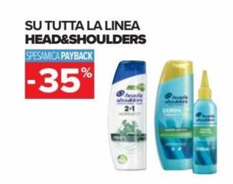 Carrefour Head&Shoulders Su Tutta La Linea offerta