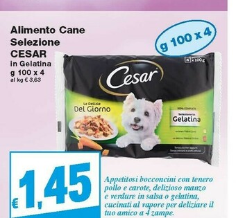 Prix Quality Cesar Cibo per cani offerta