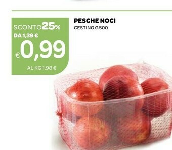 Ekom Pesche Noci offerta