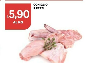 Ekom Coniglio A Pezzi offerta