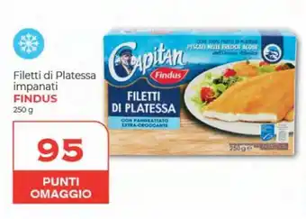 Iper Nonna Isa Findus Filetti di Platessa impanati 250 g offerta