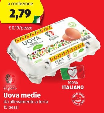 ALDI Uova medie da allevamento a terra 15 pezzi offerta