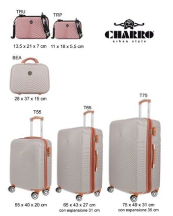 Globo Moda Charro - trolley grigio chiaro in abs e 4 ruote doppie offerta