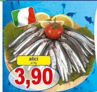 Alici