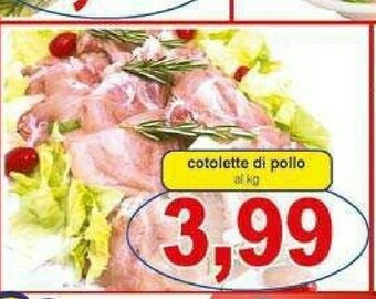 Pollo