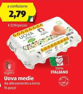 ALDI Uova medie offerta
