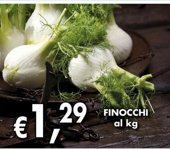Finocchi