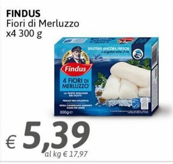 Coop Radenza Findus Fiori di Merluzzo x4 300 g offerta
