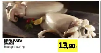 Coop Seppia Pulita Grande decongelata, al kg offerta