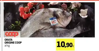 Coop Orata Origine Coop al kg offerta