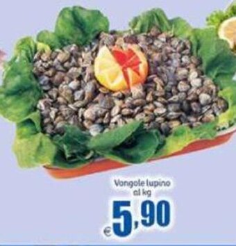 Elite Vongole Lupino offerta